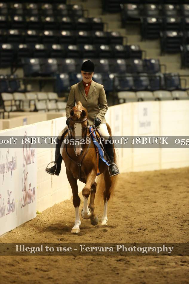 Proof 18BUCK_05528