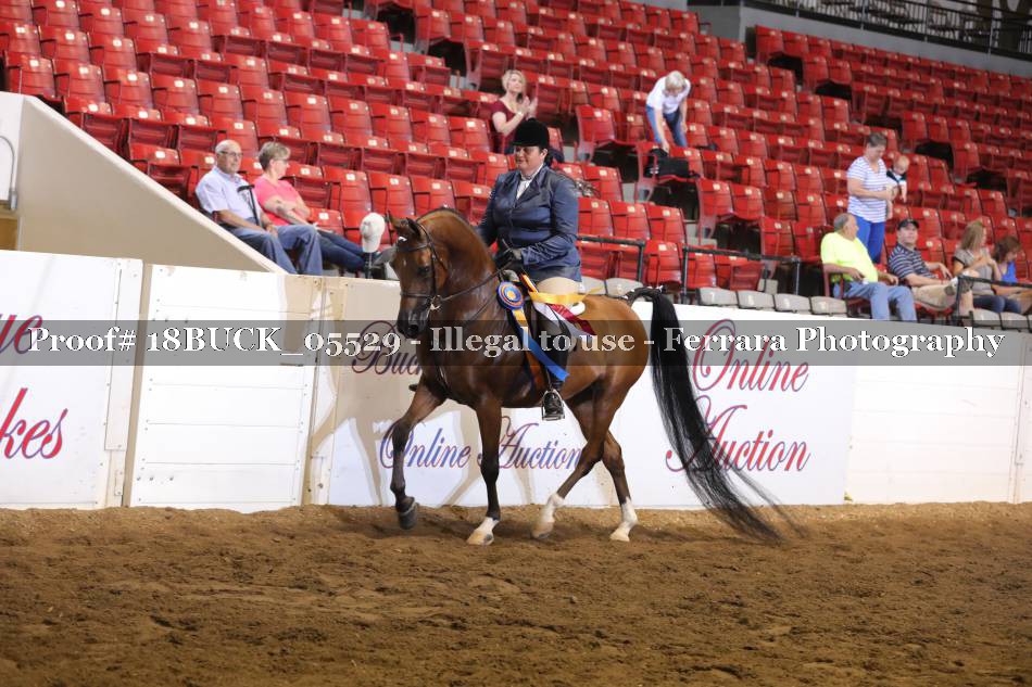 Proof 18BUCK_05529