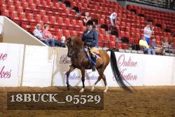 18BUCK_05529 proof