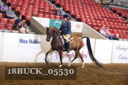 18BUCK_05530 proof
