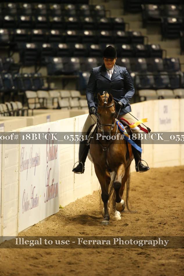 Proof 18BUCK_05531