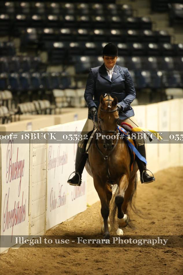 Proof 18BUCK_05532