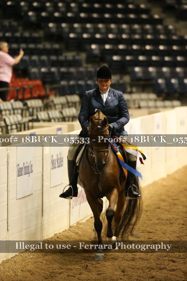 Proof 18BUCK_05533