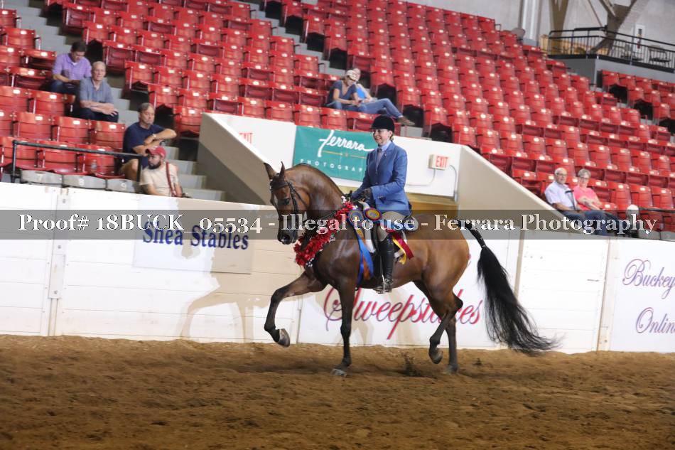 Proof 18BUCK_05534
