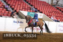 18BUCK_05534 proof