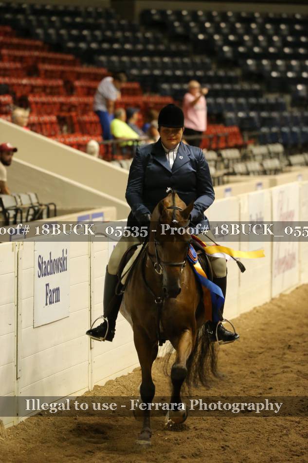 Proof 18BUCK_05535
