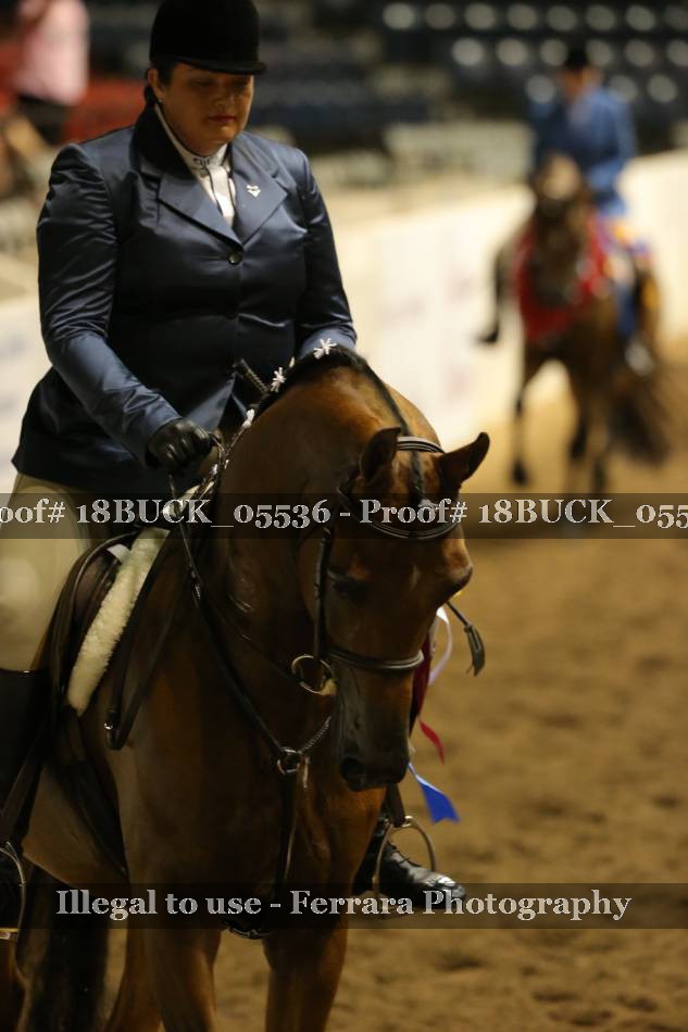 Proof 18BUCK_05536