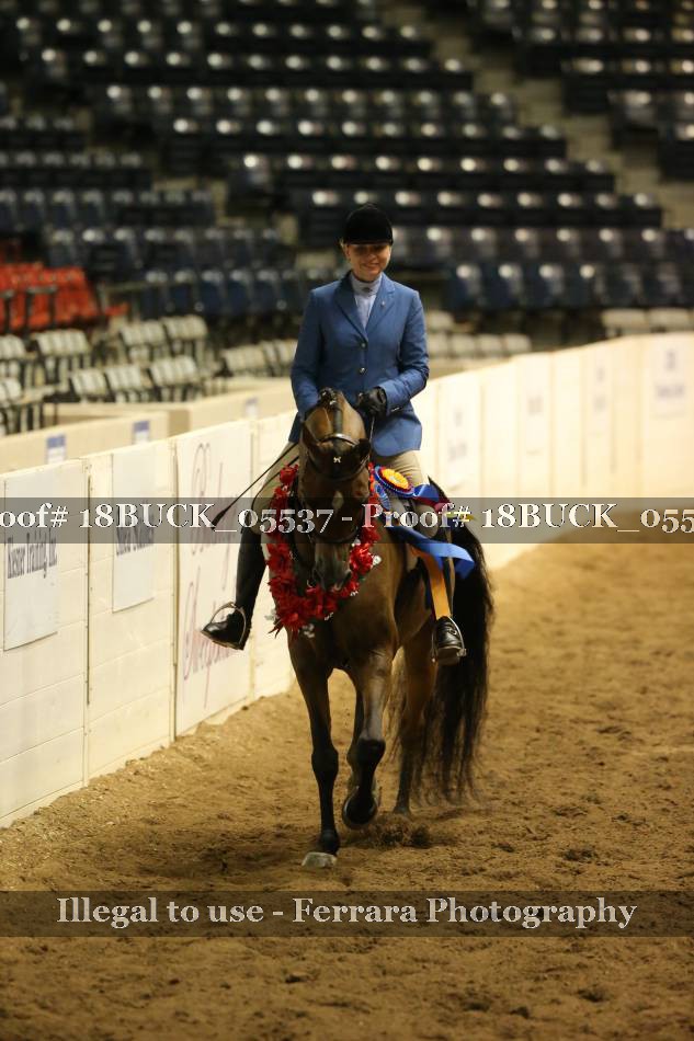 Proof 18BUCK_05537