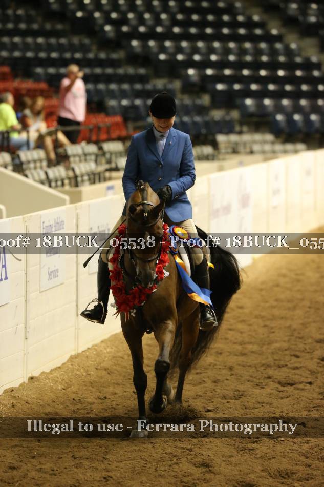 Proof 18BUCK_05538
