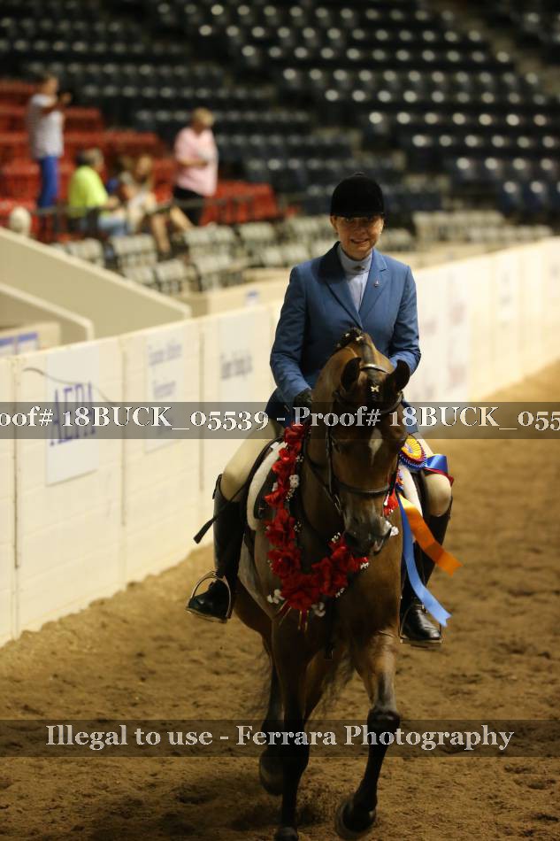 Proof 18BUCK_05539