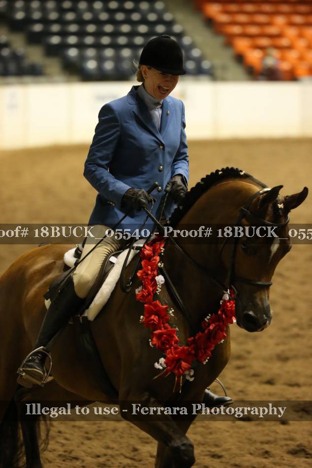 Proof 18BUCK_05540