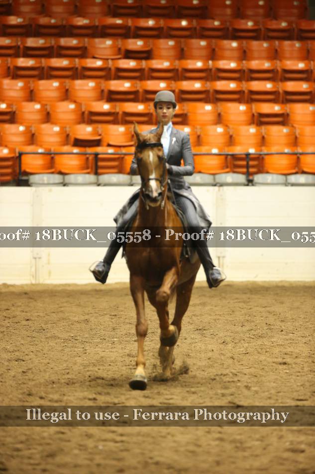 Proof 18BUCK_05558