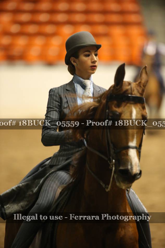 Proof 18BUCK_05559