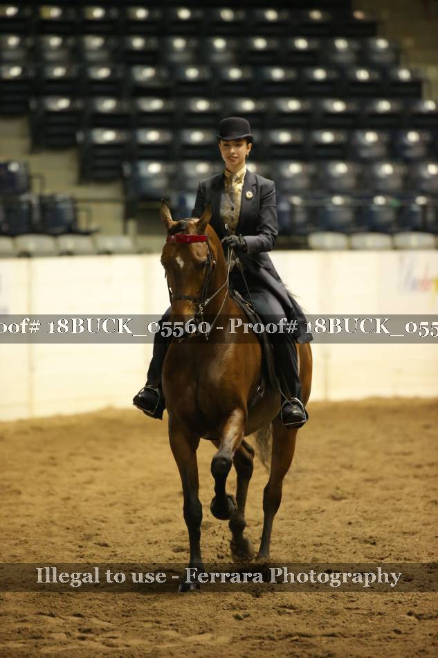 Proof 18BUCK_05560