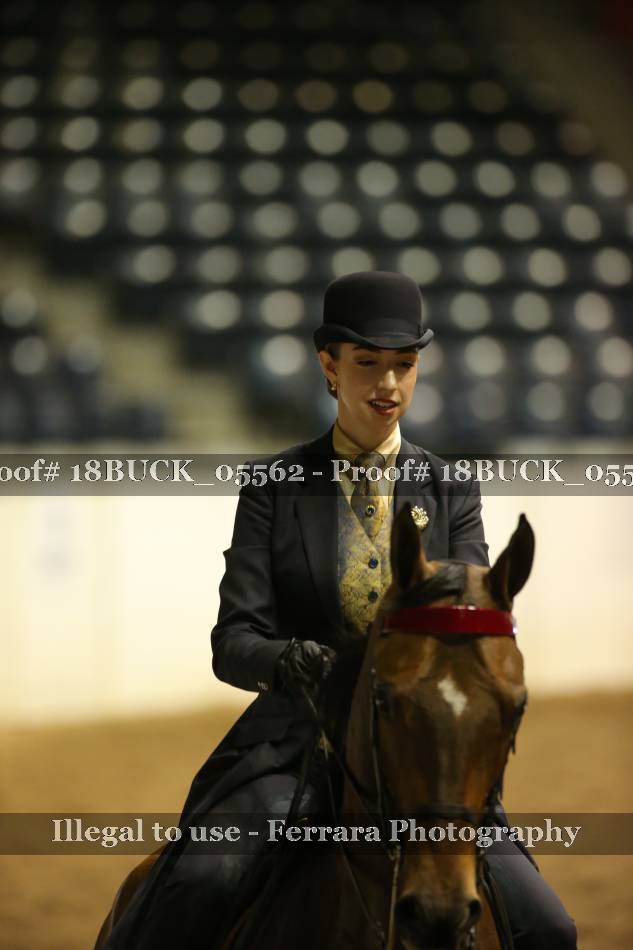 Proof 18BUCK_05562