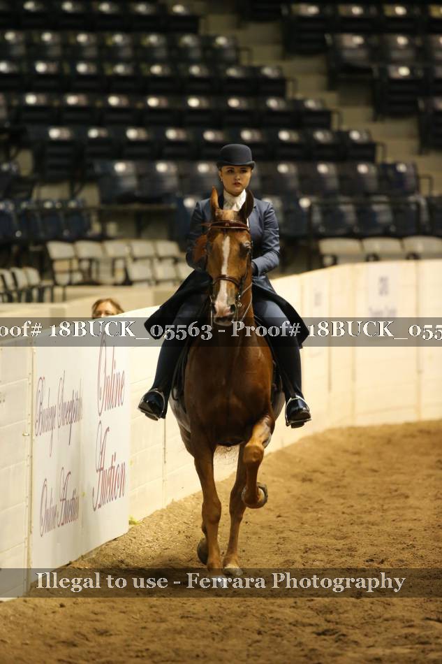 Proof 18BUCK_05563