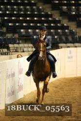 18BUCK_05563 proof