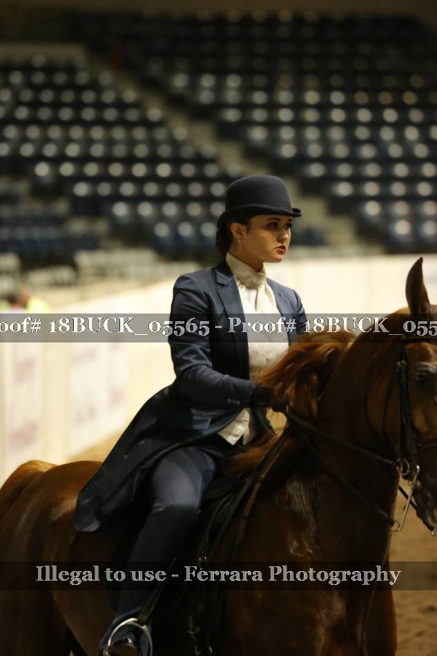 Proof 18BUCK_05565