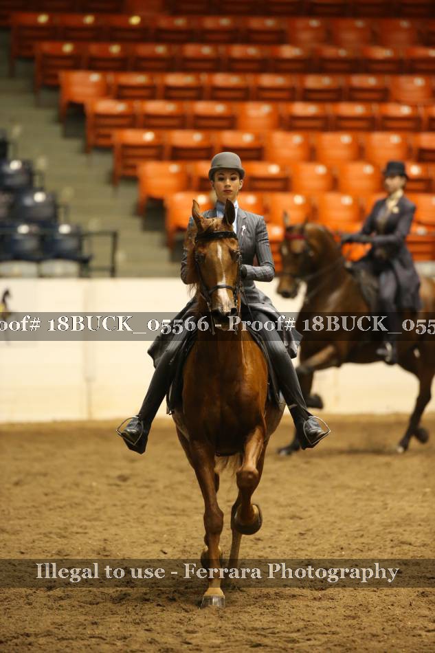 Proof 18BUCK_05566