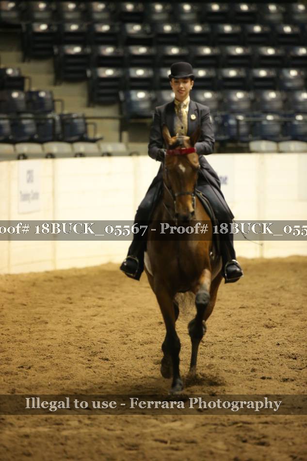 Proof 18BUCK_05567