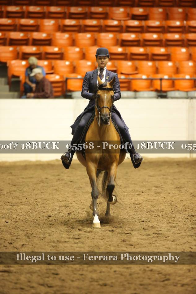 Proof 18BUCK_05568