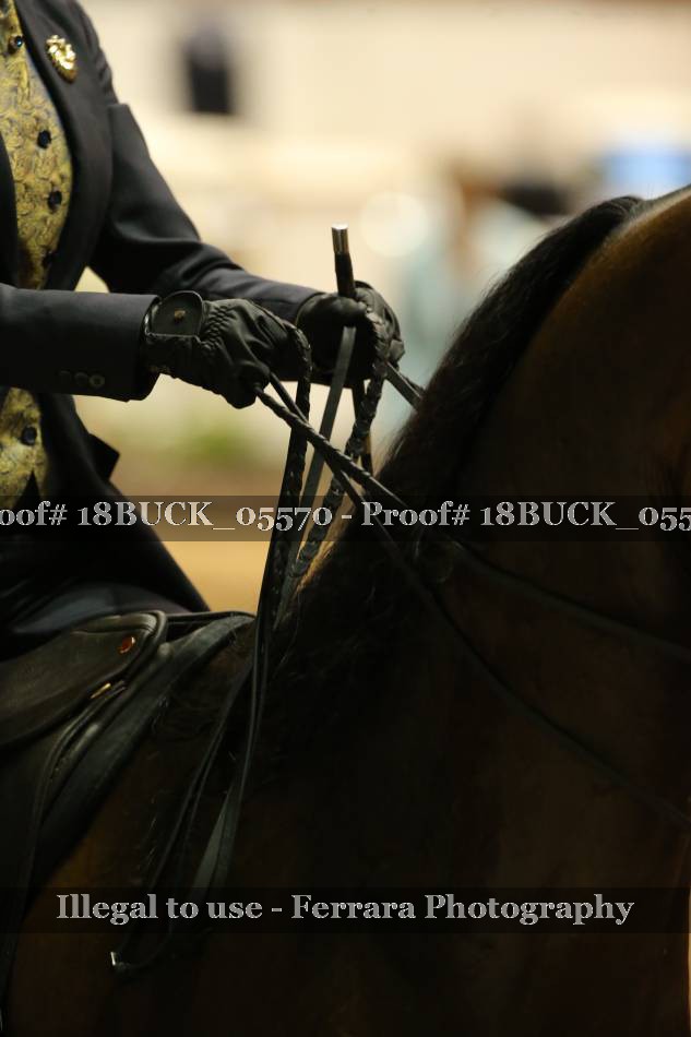 Proof 18BUCK_05570