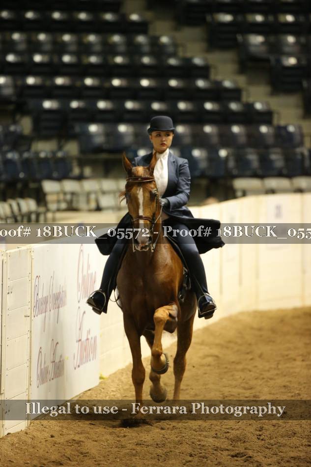 Proof 18BUCK_05572