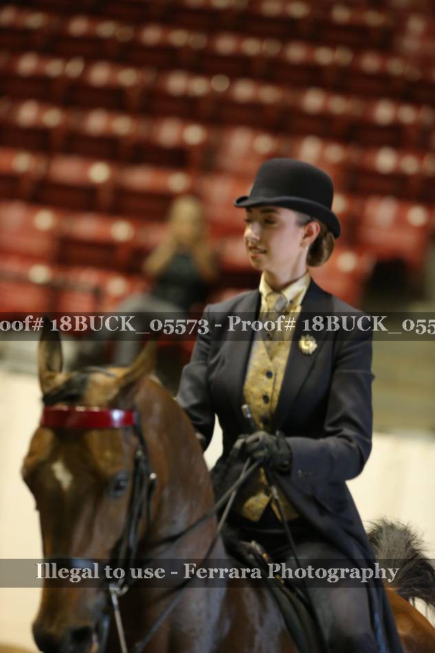 Proof 18BUCK_05573
