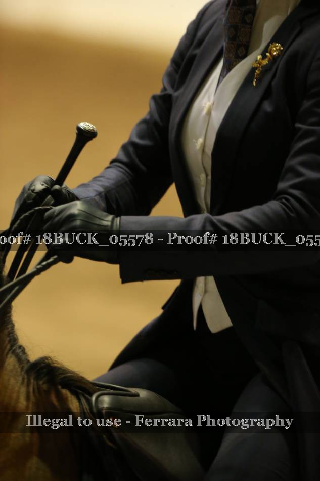 Proof 18BUCK_05578