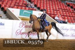 18BUCK_05579 proof