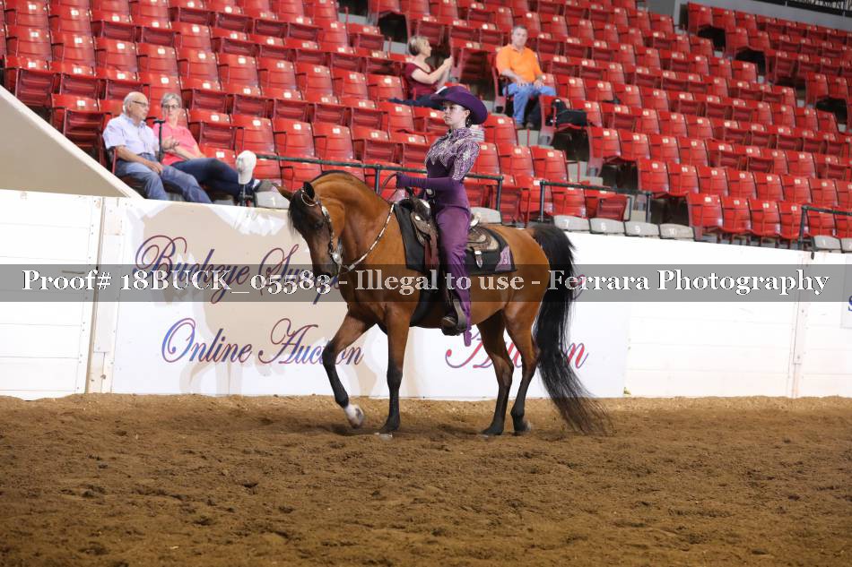 Proof 18BUCK_05583