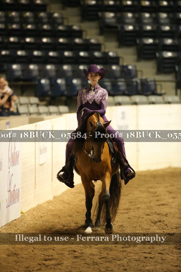 Proof 18BUCK_05584