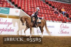 18BUCK_05585 proof