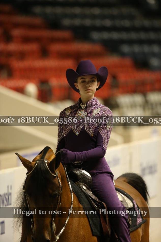 Proof 18BUCK_05586