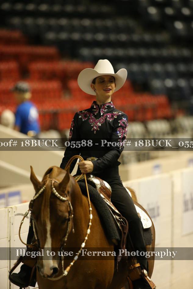Proof 18BUCK_05588