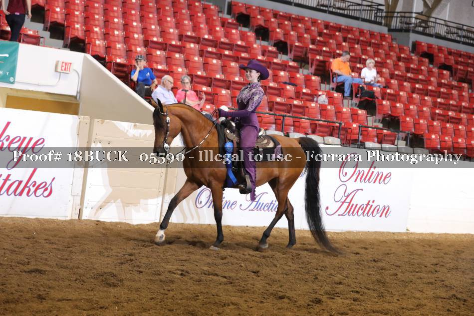 Proof 18BUCK_05590