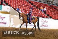 18BUCK_05590 proof