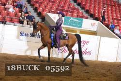 18BUCK_05592 proof
