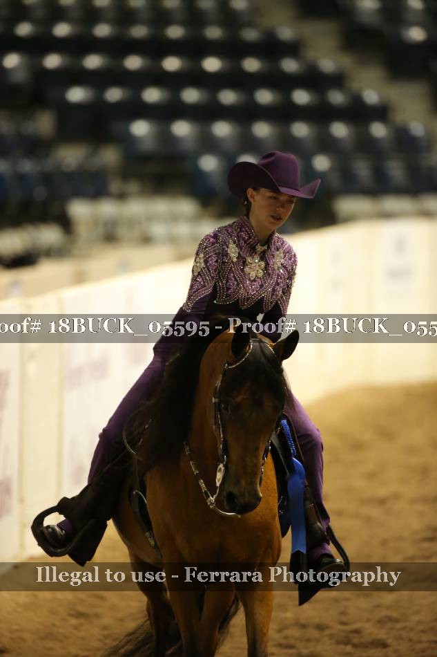 Proof 18BUCK_05595