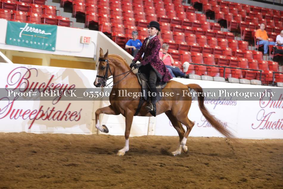 Proof 18BUCK_05596