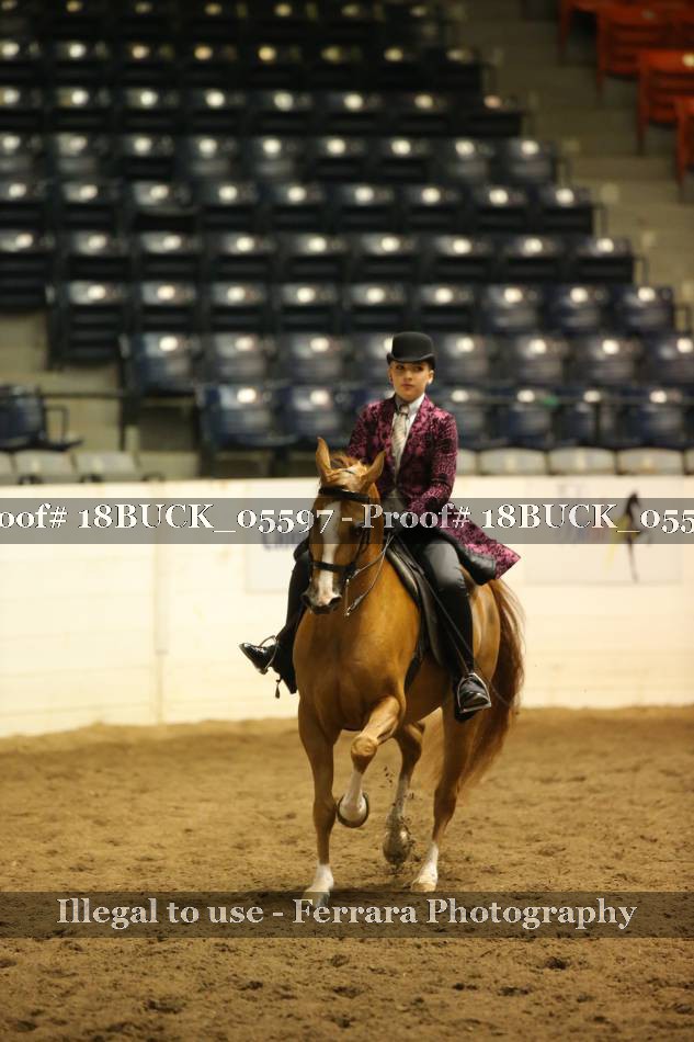 Proof 18BUCK_05597