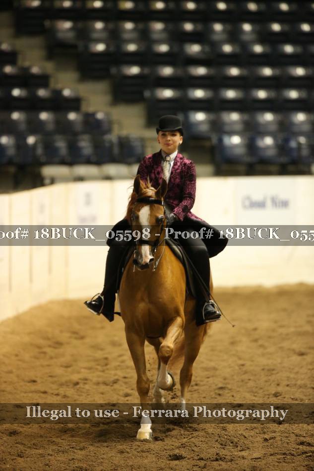 Proof 18BUCK_05598