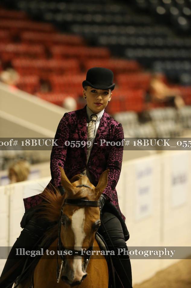 Proof 18BUCK_05599