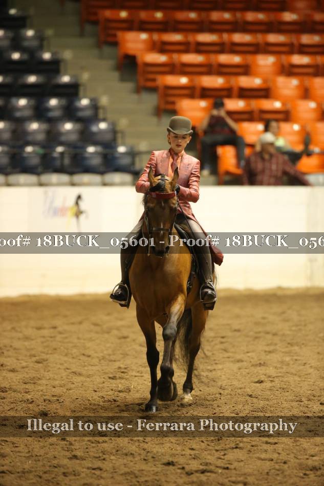 Proof 18BUCK_05601
