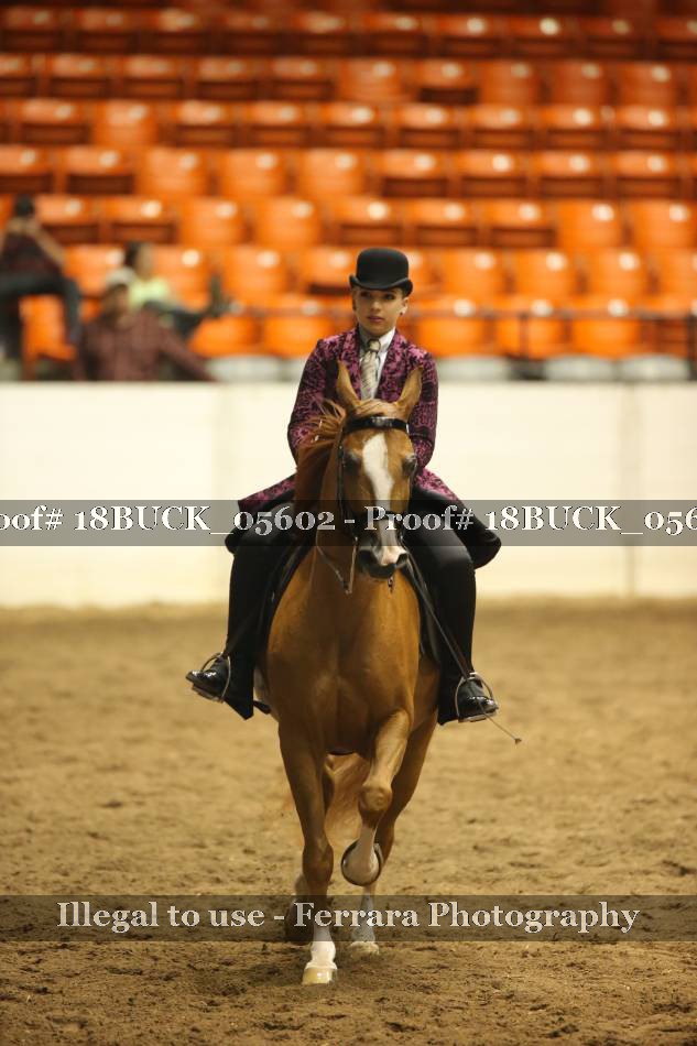 Proof 18BUCK_05602