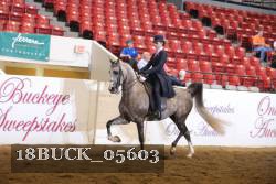 18BUCK_05603 proof