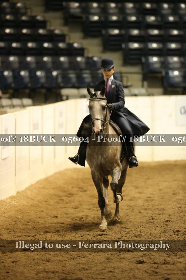 Proof 18BUCK_05604
