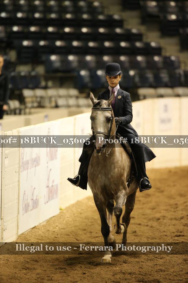 Proof 18BUCK_05605