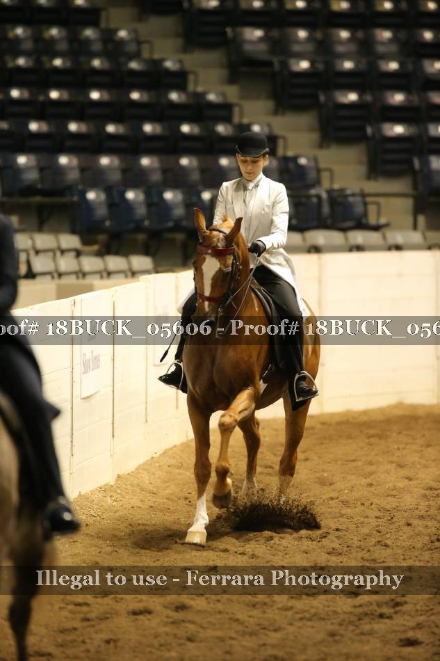 Proof 18BUCK_05606