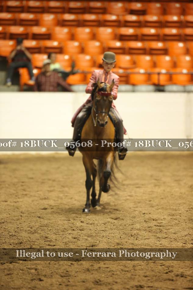 Proof 18BUCK_05608